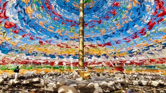 拉脊山+日月山+青海湖一日遊【包車遊】