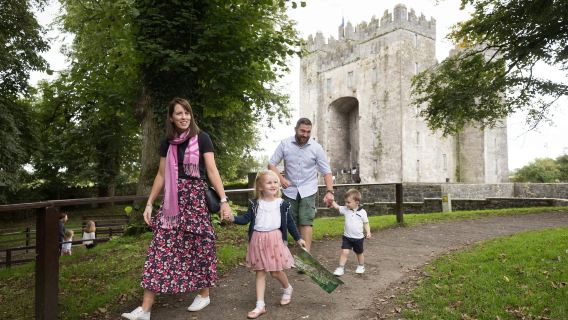 Bunratty Castle & Folk Park: Entry Ticket