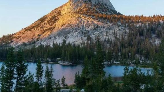 美國舊金山優勝美地國家公園一日遊/行程可調-可訂製多日