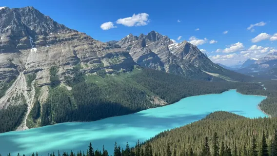 Banff National Park 1-day tour: Lake Louise + Marble Canyon + Emerald Lake | Bilingual (Chinese-English) | Airport drop-off available