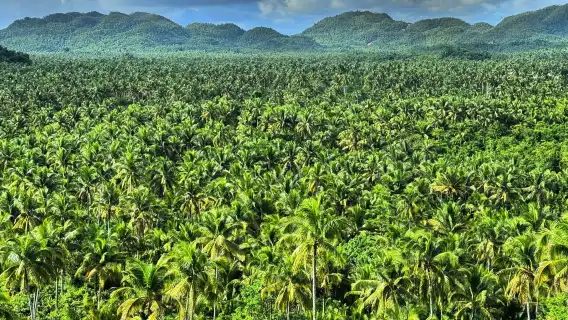 Siargao land 1-day tour - encounter natural wonders and unique landscapes