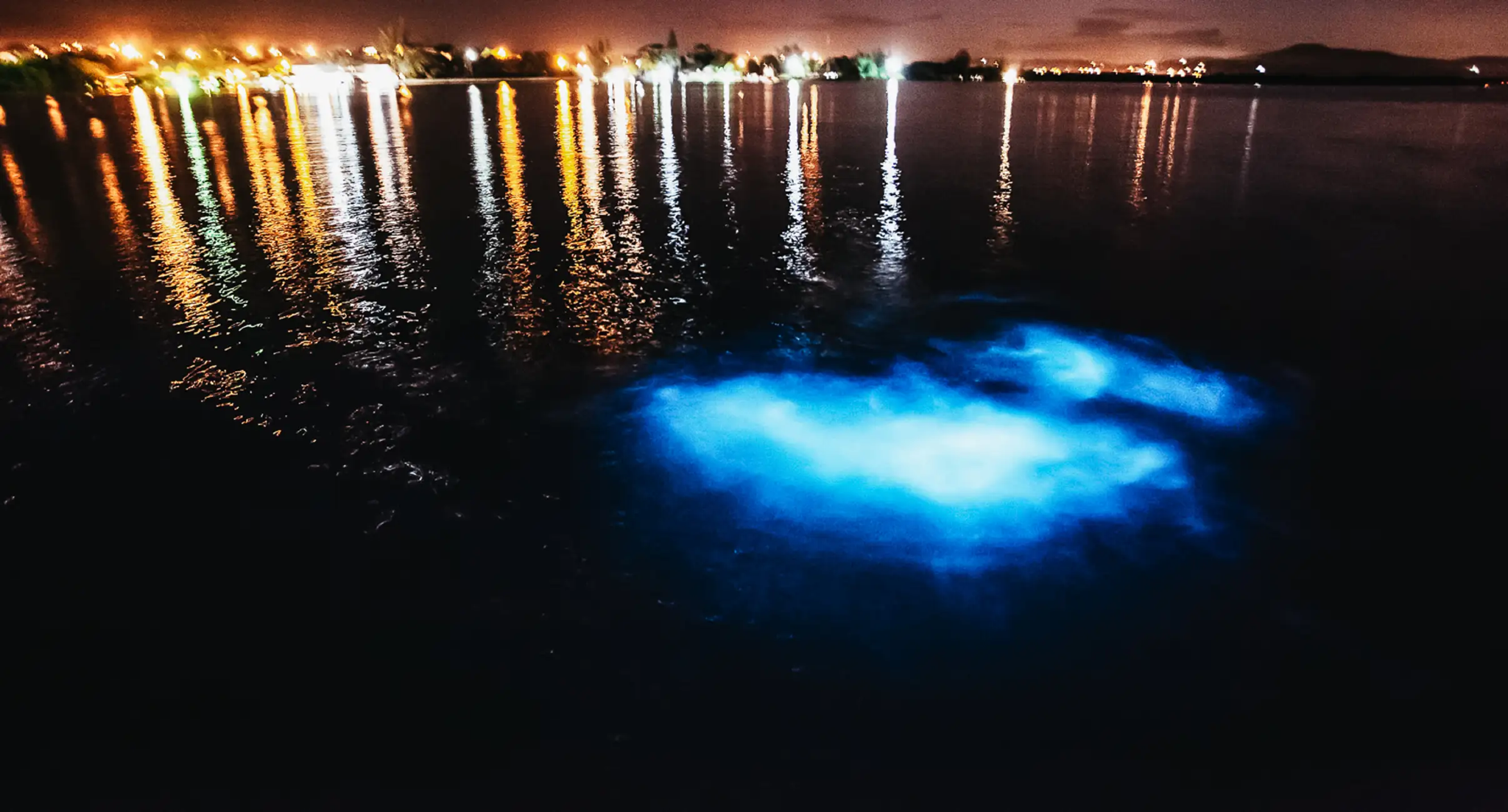 Tour notturno in barca alla baia bioluminescente di La Parguera a San Juan, Porto Rico