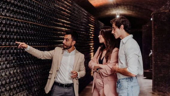 Cavas Freixenet: Guided Winery Tour + Tastings