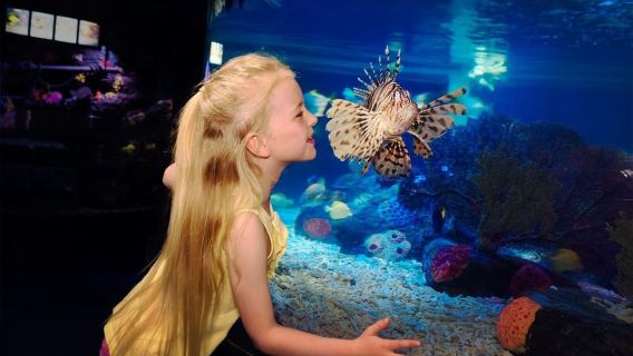 SEA LIFE Great Yarmouth