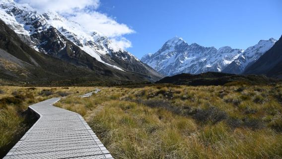 Ab Tekapo: CO2-neutrale Tagestour zum Mount Cook in kleiner Gruppe