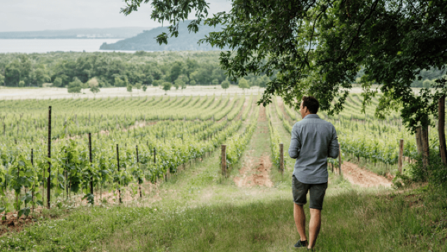 Balaton: Vineyard Tour and Wine Tasting with Zelna