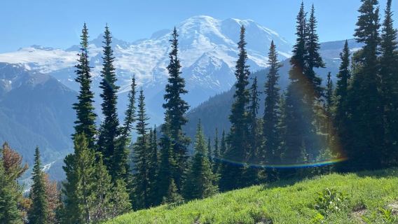 Mount Rainier: Day Hike on the Mountain