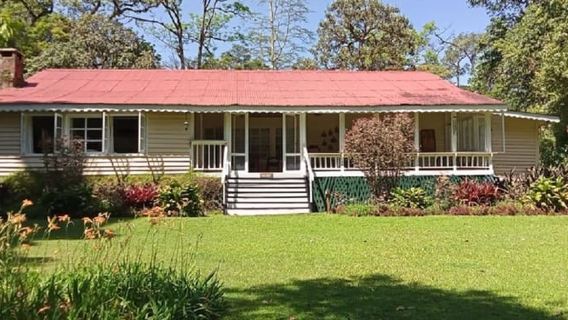 Foresta di Kakamega: safari per l'osservazione degli uccelli