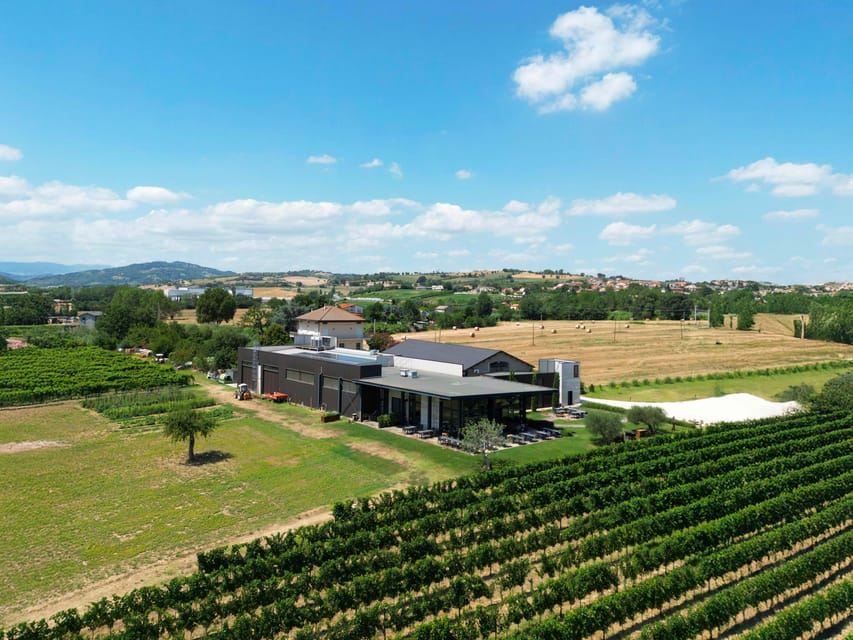 Weinbergtour und Weingutbesuch mit Verkostung von Weinen der Romagna