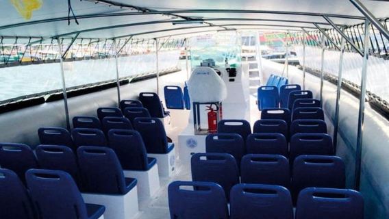 Da Rio de Janeiro: Navetta per/da Abraão sull'Ilha Grande