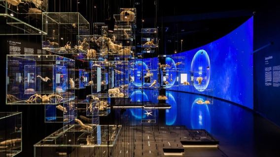 バルセロナ:グロリエス展望台の優先入場チケット