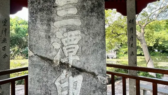 biglietto d'ingresso per la Pagoda Leifeng + biglietto d'ingresso per la crociera sul Lago dell'Ovest (con sbarco sull'isola dei Tre Laghetti in cui si specchia la Luna) + servizio di guida dal vivo
