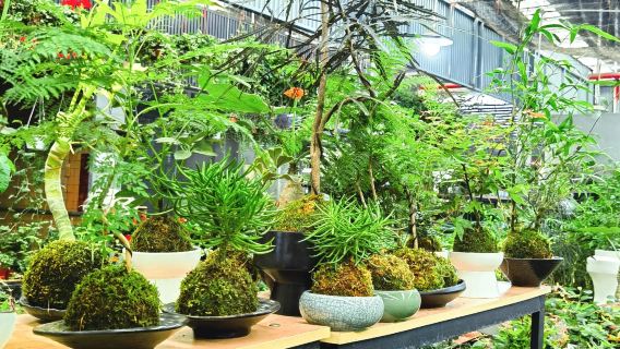 中国広州 中国語—ドイツ語翻訳 購買アシスタント|ショッピングガイド 及び ビジネスガイドサービス【プライベートプランカスタマイズ可】