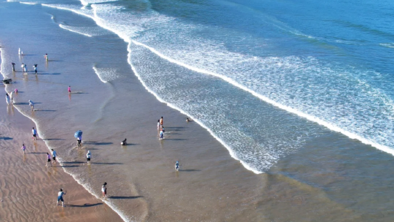 霞浦東海一號包車一日遊【本地司導帶賞日落海岸線+上門接駁】