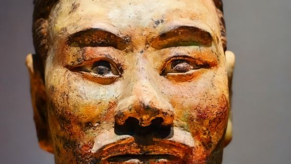 Excursion d'une journée en petit groupe à Xi'an (anglais/chinois) : Armée de terre cuite + Muraille + Grande Pagode de l'Oie Sauvage + Rue des Musulmans - Sans shopping