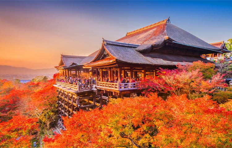日本奈良公園+京都清水寺+伏見稻荷大社一日遊，餵萌鹿，賞楓葉