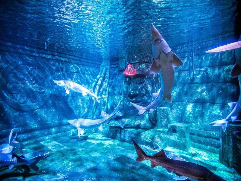 Nanjing private charter family tour: Zijin Mountain Insect Museum + Nanjing Andover Under Water World + Dr. Sun Yat-Sen's Mausoleum