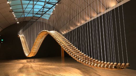 美國-聖何塞｜翻譯陪同｜地陪旅遊｜展會｜商務考察｜地接｜（可私人定制）