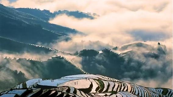 龍脊梯田：一日深度遊三寨【贈少數民族手工製作的龍勝油茶】