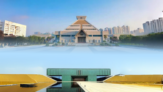 Yinxu Museum 3H + Henan Museum 2H join-in tour guide service (time slots can be selected on separate days)