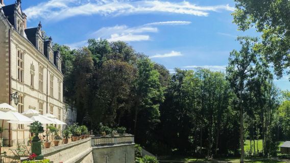 Château Gaillard : Billet coupe-file