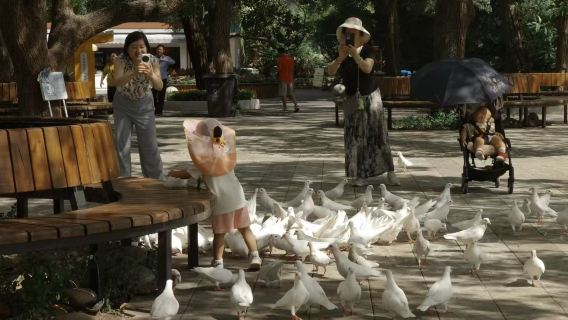 Shanghai Essential One-Day Tour:Shanghai Zoo+Tianzifang+Starbucks Roastery+LV Giant Ship