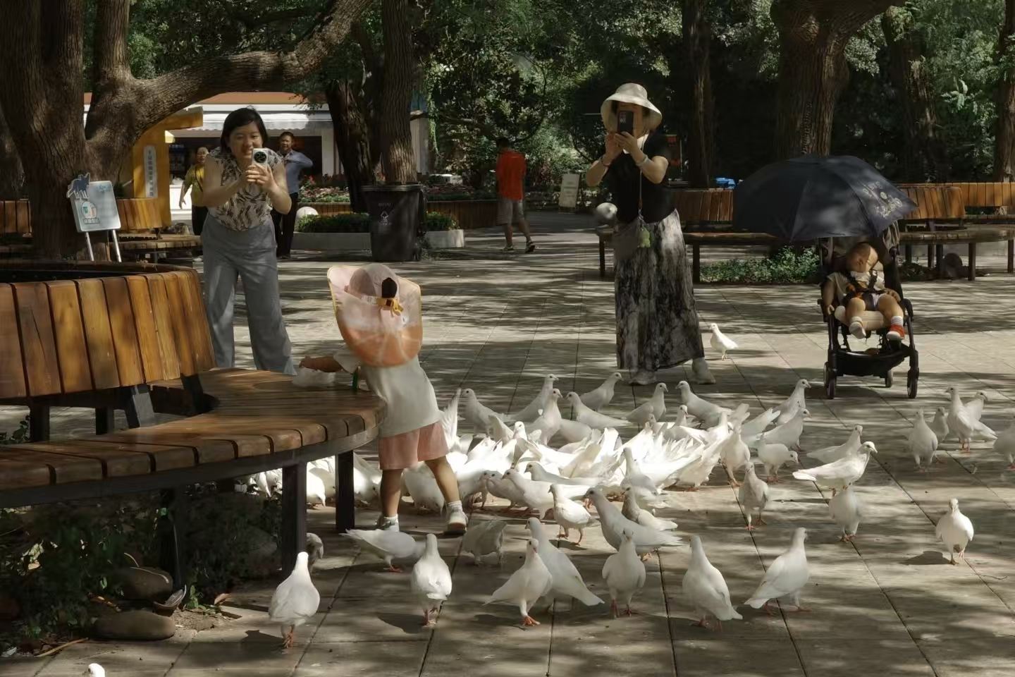 Visite incontournable d'une journée à Shanghai : Zoo de Shanghai + Tianzifang + Starbucks Roastery + Bateau géant LV