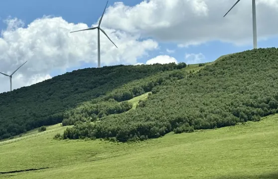 河北張家口壩上原始草原+大境門+天鵝湖一日遊可中英文服務