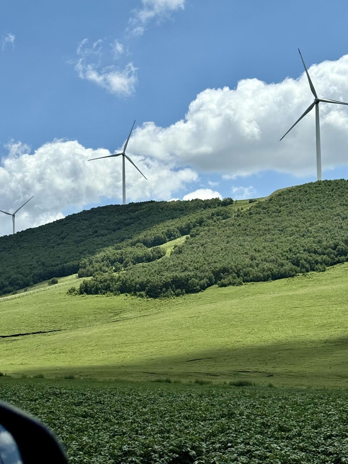 Tagesausflug zum ursprünglichen Grasland von Bashang in Zhangjiakou, Provinz Hebei, mit Dajingmen-Tor und Schwanensee, englischsprachiger Service verfügbar