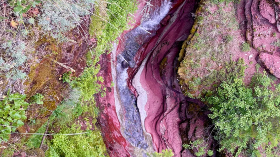 Calgary, Canada: eendaagse tour Calgary-Watton [vervoersservice& aanpasbaar reisschema]