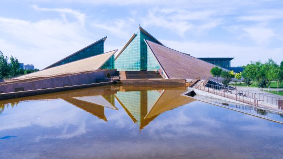 屯墾紀念館+沙漠之門+睡胡楊谷（金色沙漠一日遊）