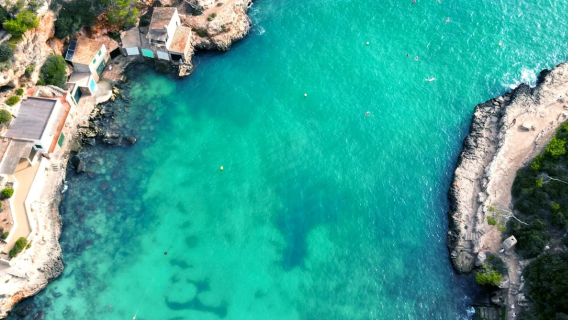 1-Day Coastal Tour in Mallorca, Spain [Transfer Service & Adjustable Itinerary]