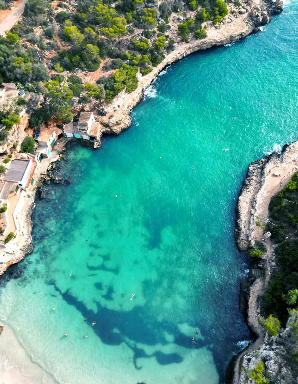 Tour di un giorno lungo la costa di Maiorca, Spagna [Servizio di transfer e itinerario flessibile]