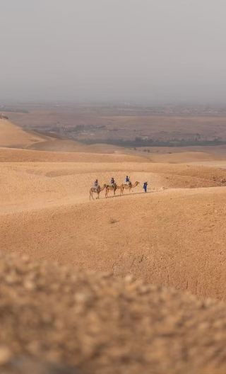 [English Join-in Tour] Agafay Desert + Camel Riding + Bonfire Party Private Charter 1-day Tour