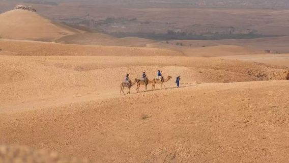 【英語混載ツアー】アガファイ砂漠+岩石ゴビ+ラクダバイクライド+キャンプファイヤー