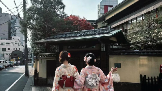 日本東京/周邊包車/成田羽田機場接送（可定制行程/中文司機）