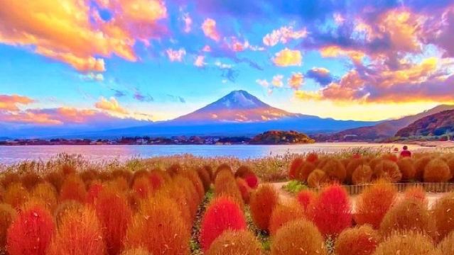 Mount Fuji Day Trip from Tokyo: Instagram-Famous Spot Hopping | Arakurayama Sengen Park&Hikawa Clock Shop&Oshino Hakkai&Kawaguchiko Lawson&Lake Kawaguchi Oishi Park