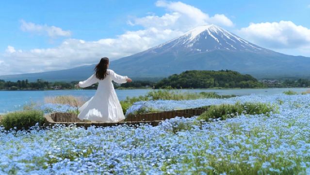 富士山のインスタ映えスポット2つの湖＋ローソン＋日川時計店＋大石公園ワンデーツアー|9人少人数ツアー