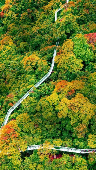 海口|三亞+百花嶺熱帶雨林文化旅遊區1日（真純玩|無套路）