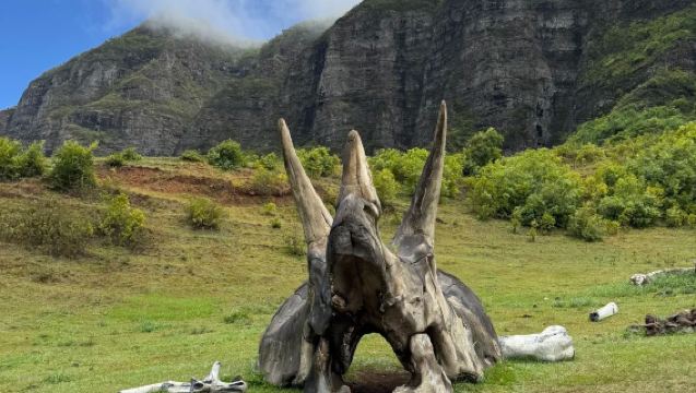 Lawatan Sehari di Hawaii: Hanauma Bay - Halona - Kualoa (Tidak Termasuk Tiket Masuk) (Pemandu Berbahasa Cina)