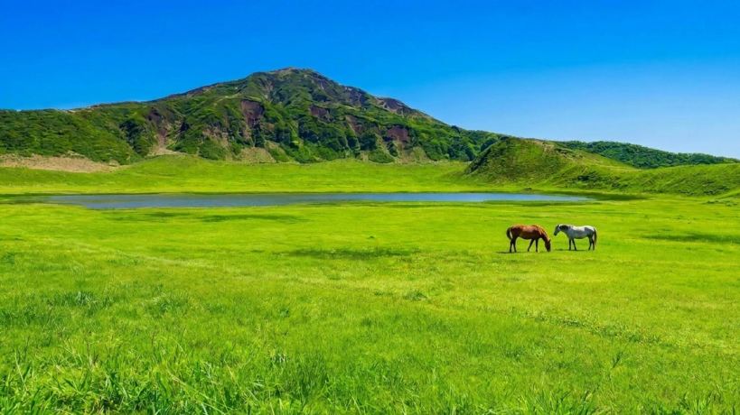 Mount Aso & Takachiho Day Tour