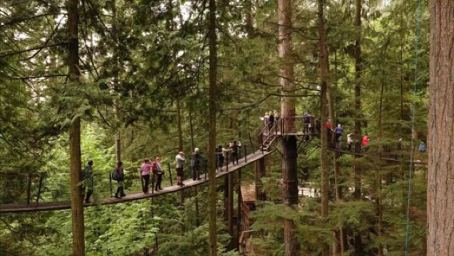 加拿大溫哥華史丹利公園+卡皮拉諾吊橋+加拿大廣場【中文司機】