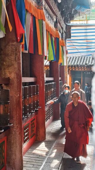 8-hour Custom Trip in Xining City (Private Tour)