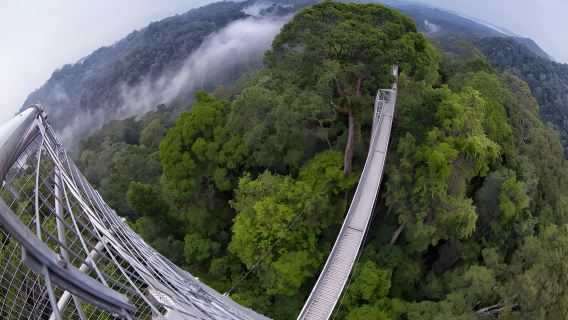 Lawatan sehari ke Taman Negara Ulu Temburong Brunei (Termasuk tiket masuk + sewaan peribadi)