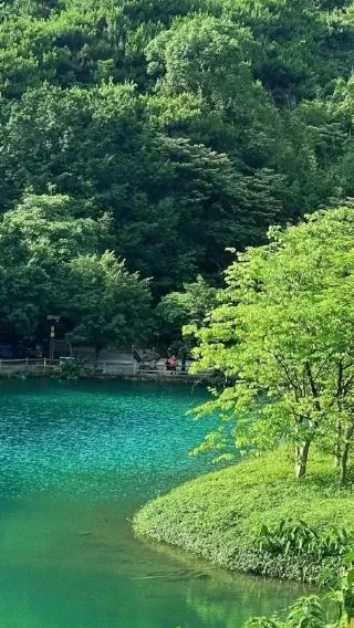 肇慶七星巖+紫雲谷避暑溯溪+騎樓街一日遊|獨立包車上門接駁