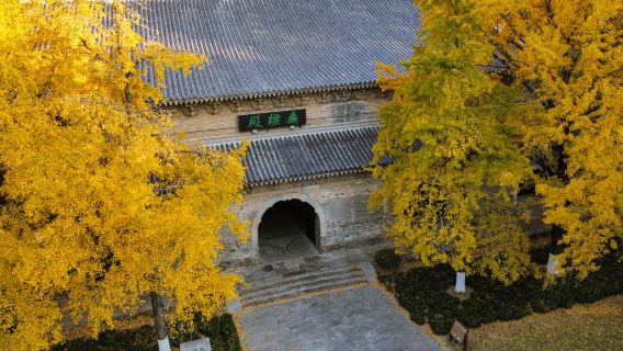 Eendaagse tour Nanjing: Ming Xiaoling Mausoleum + Honglou Kunsttuin + Linggu Tempel (Privé groepsreis)