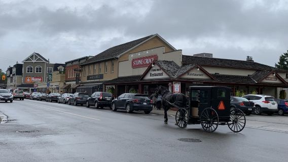 Kanada Toronto pergi-balik + St. Jacobs + Desa Idaman [Sewaan Peribadi Bahasa Cina Dengan Pengambilan Di Tempat]