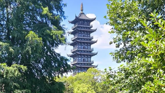 Şanghay'dan Başlayan: Wuzhen Su Kasabası 1 Günlük Tur (Özel Araç · Otel Transferi · Opsiyonel Rehber)