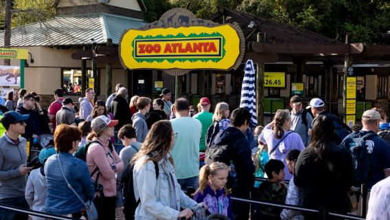 Atlanta : Ticket principal pour le Zoo d'Atlanta
