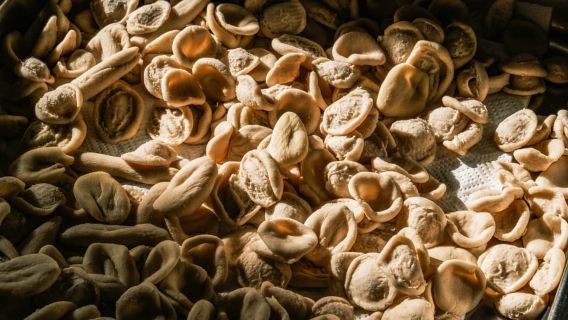 Ostuni: Pasta Making Class in the Winery